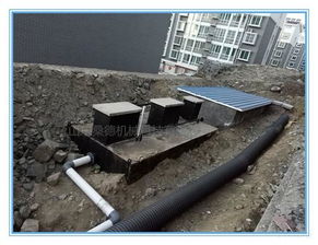 食品廠廢水處理設備供應信息 聚焦高效氣浮機技術