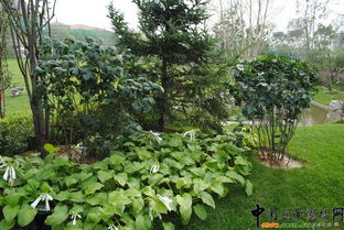 北京市2010年度園林綠化優(yōu)質(zhì)工程評選啟動