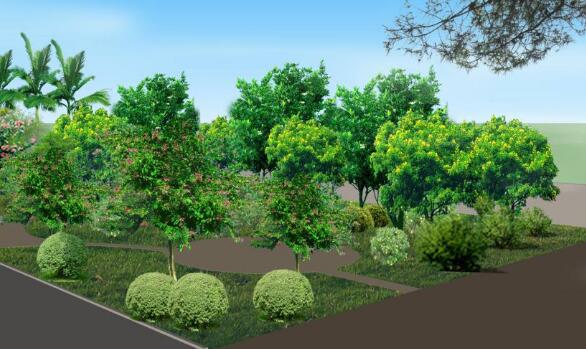 城市園林綠化工程施工中的植物養(yǎng)護策略