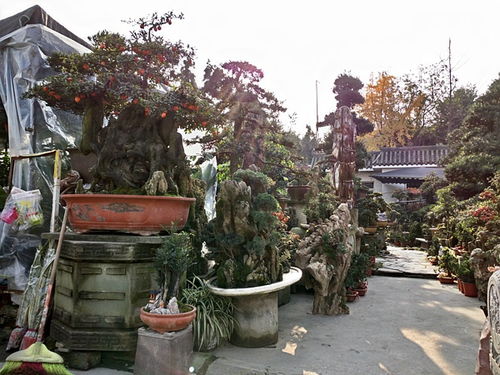 成都市光和園林藝術有限責任公司 專業園林綠化設計施工一體化服務