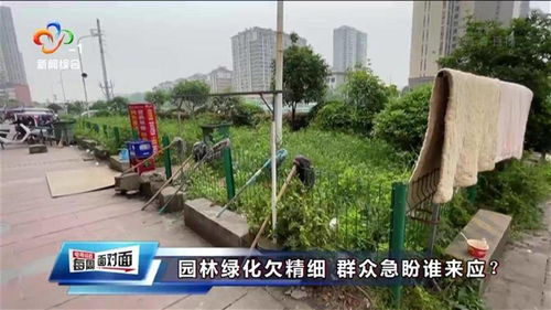 精細化管理缺失下的城市綠化困境——從武漢電視問政看園林施工與養護的隱憂