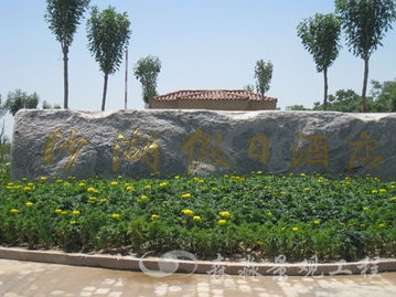 寧夏森淼園林景觀綠化工程 打造綠色生態的匠心之作